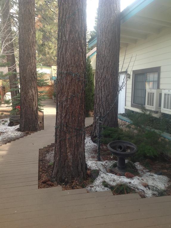 Tahoe Chalet Inn, The Theme Inn Lake Tahoe Airport 외부 사진